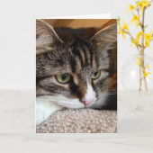 Stuiver voor Uw Kaart van de Nota van de Kat van (Gele Bloem)