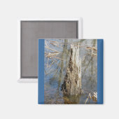Stump in Pond Magnet (Voorkant / Achterkant)