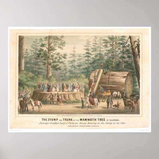 Stump of the Mammoth Tree of Calaveras (0977A) Poster (Voorkant)