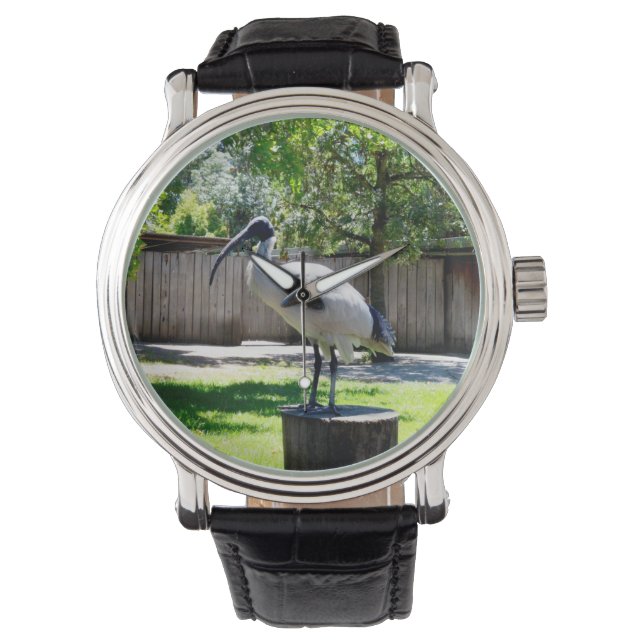 **"Stump Perch: de rustplaats van de Bin Chicken"* Horloge (Voorkant)