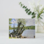 Stumped - Marshall Lake Briefkaart (Staand voorkant)