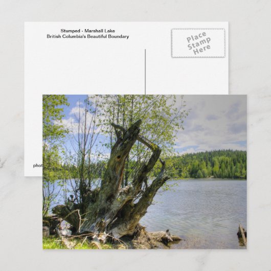 Stumped - Marshall Lake Briefkaart (Voorkant / Achterkant)