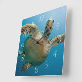 Stundige zeeen schildpad vierkante klok (Hoek)