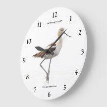 Stunning Amerikaanse Avocet-vogel slentert over he