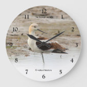 Stunning Amerikaanse Avocet Waadvogel op het Stran Grote Klok (Voorkant)