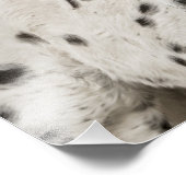 Stunning appaloosa gelding foto afdruk (Hoek)