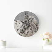 Stunning appaloosa gelding grote klok (Huis)