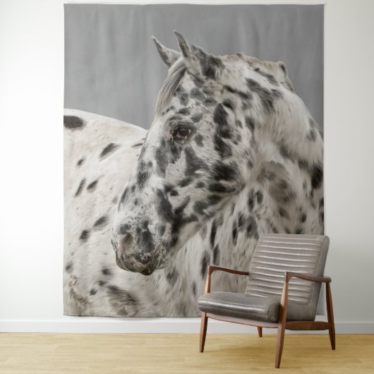 Stunning appaloosa gelding wandkleed (In situ)