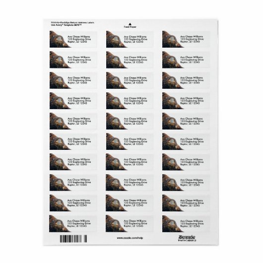 Stunning Bald Eagle Bird of Prey doet een Flyby Etiket (Full Sheet)