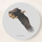 Stunning Bald Eagle Bird of Prey in Flight Zandsteen Onderzetter (Voorkant)