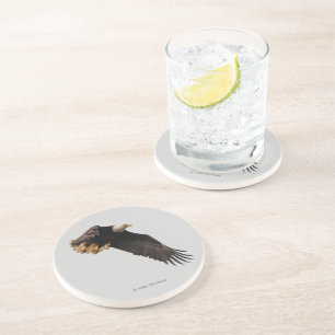 Stunning Bald Eagle Bird of Prey in Flight Zandsteen Onderzetter