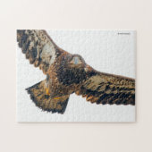 Stunning Bald Eagle doet een flyover Legpuzzel (Horizontaal)