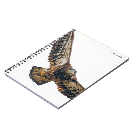 Stunning Bald Eagle doet een flyover Notitieboek (Linkerzijde)