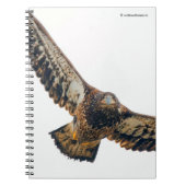 Stunning Bald Eagle doet een flyover Notitieboek (Voorkant)