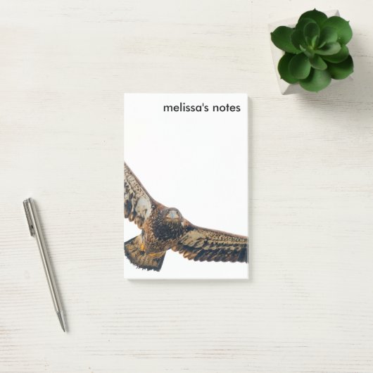 Stunning Bald Eagle doet een flyover Post-it® Notes (Kantoor)