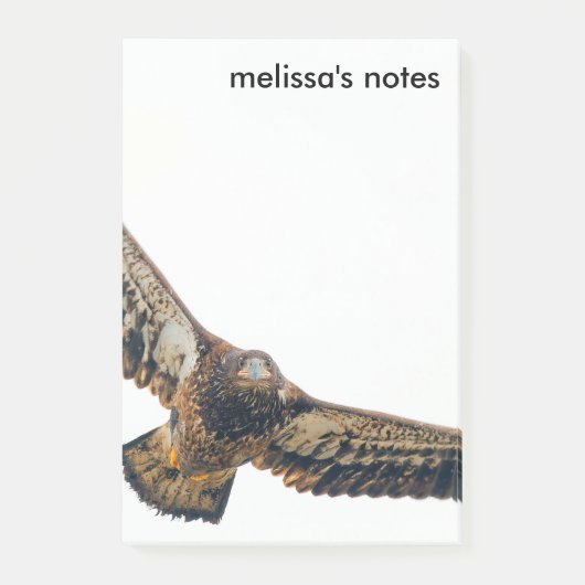 Stunning Bald Eagle doet een flyover Post-it® Notes (Voorkant)