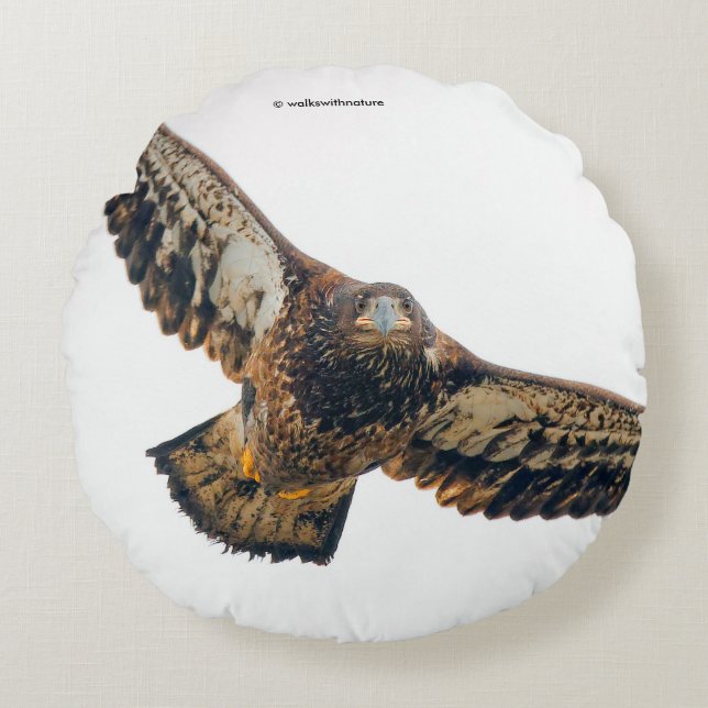 Stunning Bald Eagle doet een flyover Rond Kussen (Voorkant)