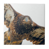 Stunning Bald Eagle doet een flyover Tegeltje (Voorkant)