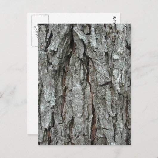 Stunning Bark Briefkaart (Voorkant / Achterkant)