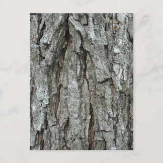 Stunning Bark Briefkaart