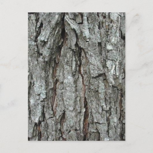 Stunning Bark Briefkaart (Voorkant)