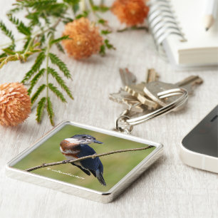Stunning Belted Kingfisher Bird on a Limb Sleutelhanger