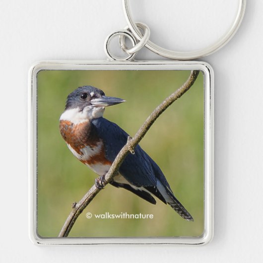 Stunning Belted Kingfisher Bird on a Limb Sleutelhanger (Voorkant)