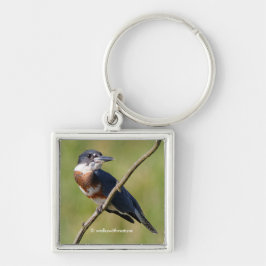 Stunning Belted Kingfisher Bird on a Limb Sleutelhanger