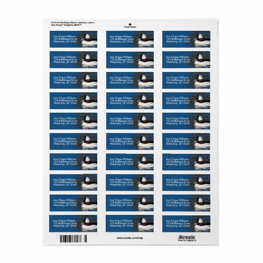 Stunning Bufflehead Duck bij Winter Pond Etiket (Full Sheet)