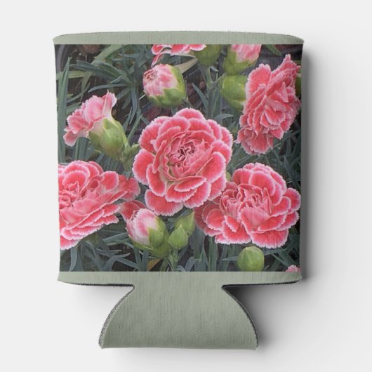 Stunning Dianthus Blikjeskoeler (Achterkant)