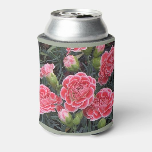 Stunning Dianthus Blikjeskoeler (Blikje Achterkant)