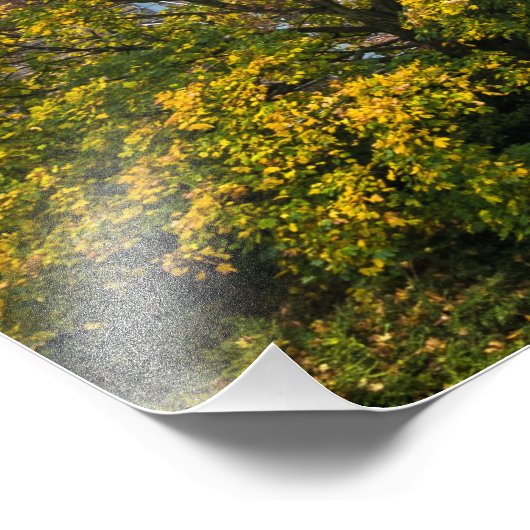 Stunning Edinburgh Poster (Hoek)