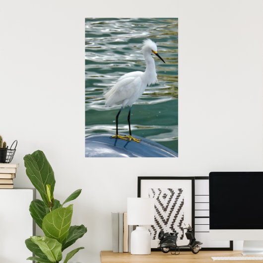 Stunning Egret Bird Poster (Thuiskantoor)