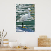 Stunning Egret Bird Poster (Keuken)