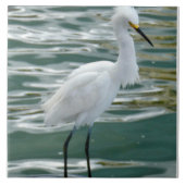 Stunning Egret Bird Tegeltje (Voorkant)