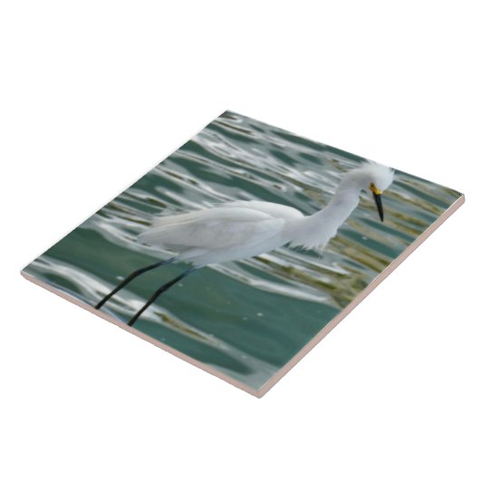 Stunning Egret Bird Tegeltje (Zijkant)