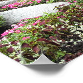 Stunning Garden Poster (Hoek)