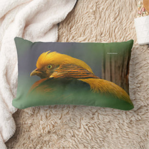 Stunning Golden Pheasant Gamebird Kussen