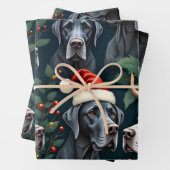 Stunning Great Dane Christmas wrapping paper (In situ)