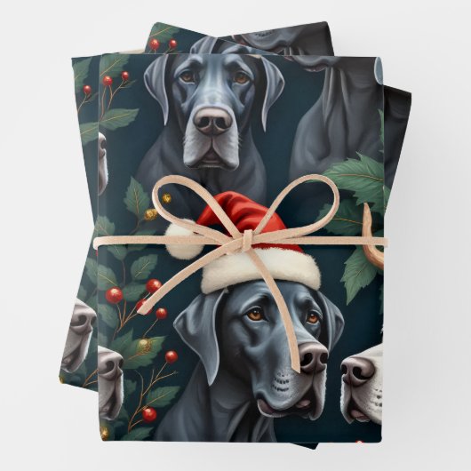 Stunning Great Dane Christmas wrapping paper (In situ)
