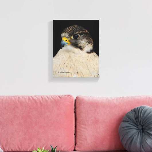 Stunning Gyrfalcon Saker Hybrid Falcon Canvas Afdruk (Insitu (Woonkamer))
