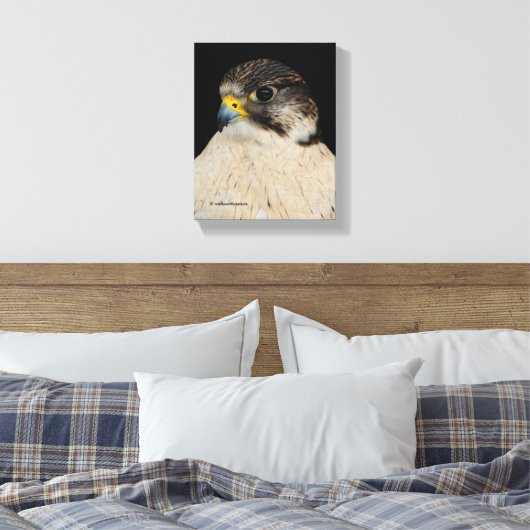 Stunning Gyrfalcon Saker Hybrid Falcon Canvas Afdruk (Insitu (Slaapkamer))
