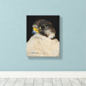 Stunning Gyrfalcon Saker Hybrid Falcon Canvas Afdruk (Insitu (Houten vloer))