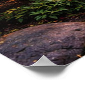 Stunning Japanese Garden & Koi Pond Poster (Hoek)