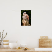 Stunning kestrel sat on a tree stump poster (Keuken)