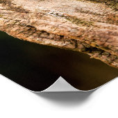 Stunning kestrel sat on a tree stump poster (Hoek)