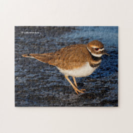 Stunning Killder Shorebird on the Icy Mudflats Legpuzzel