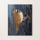 Stunning Killder Shorebird on the Icy Mudflats Legpuzzel (Verticaal)