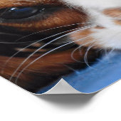 Stunning King Charles Cavalier Poster (Hoek)