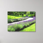 Stunning Lavender-Lined Garden Walk Canvas Afdruk (Voorkant)